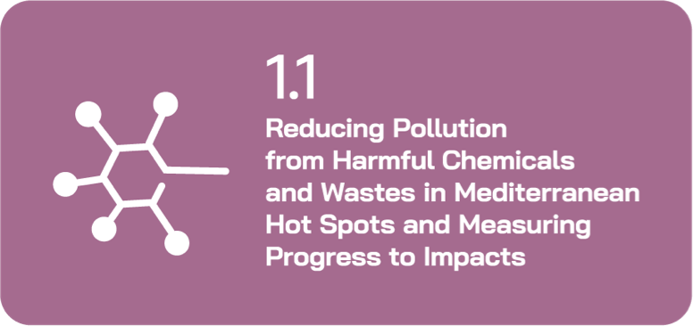 Reducing Pollution from Harmful Chemicals and Wastes in Mediterranean Hotspots and Measuring Progress to Impacts