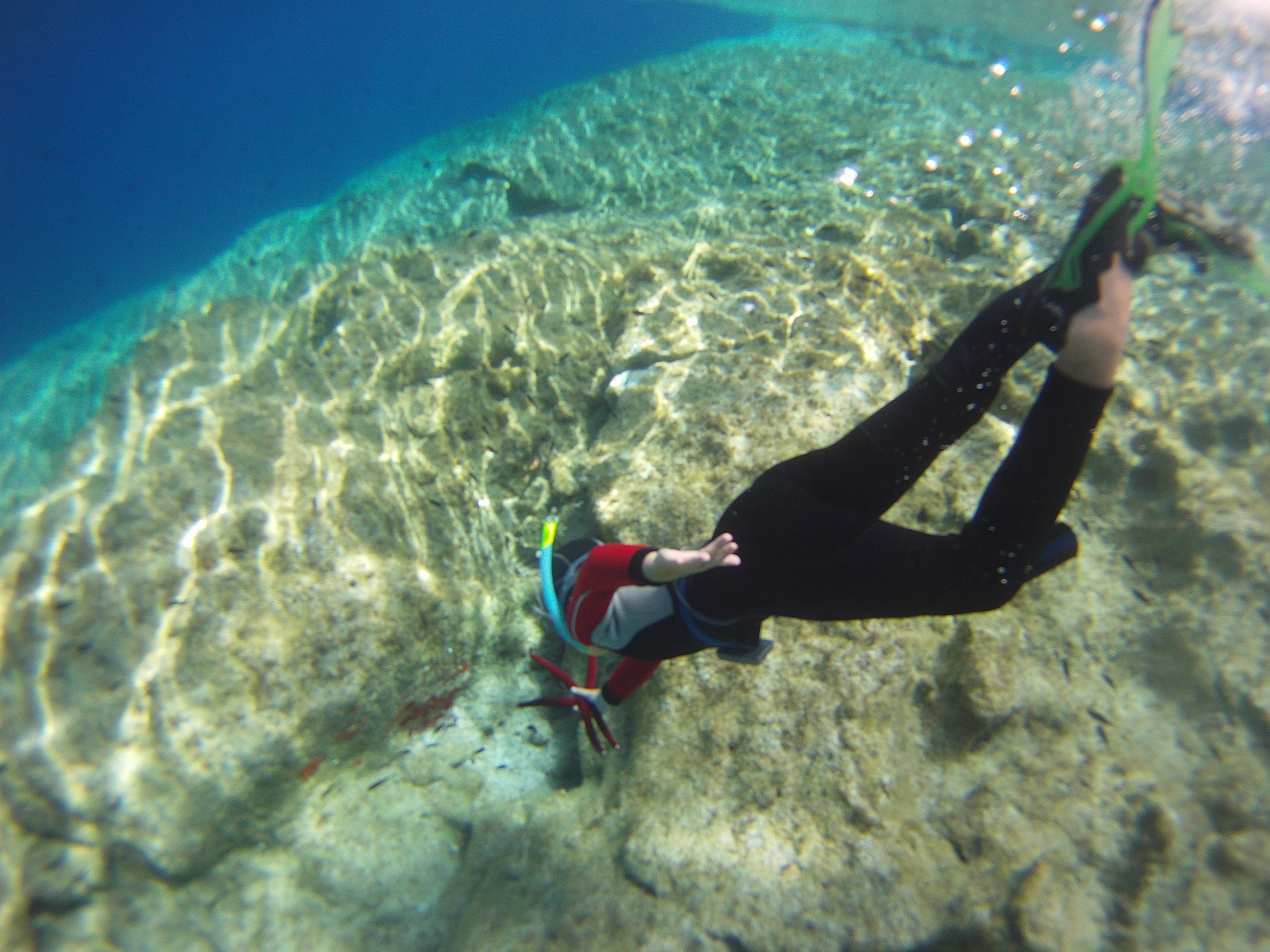 law-on-protected-areas-in-libya