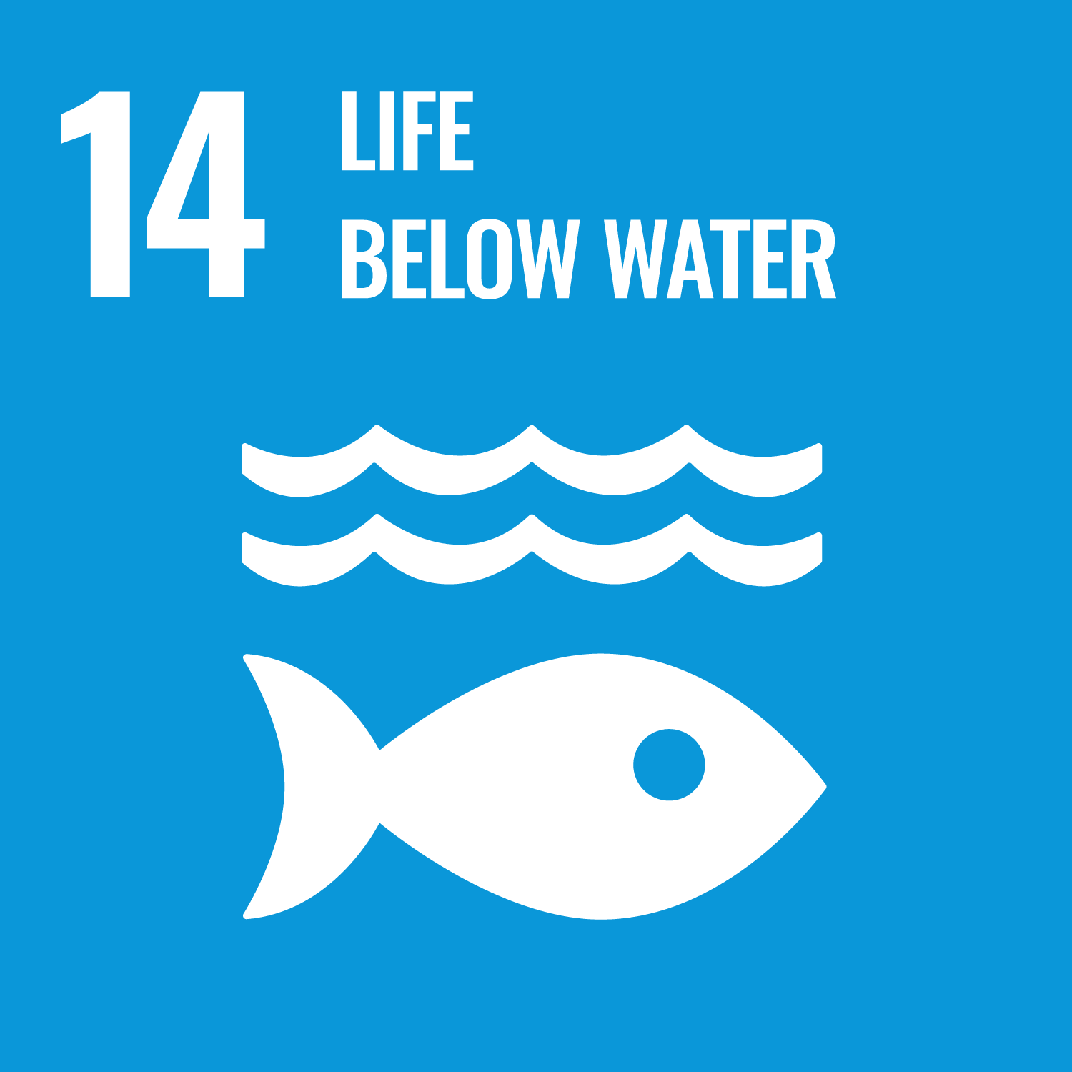 SDGs Life Below Water