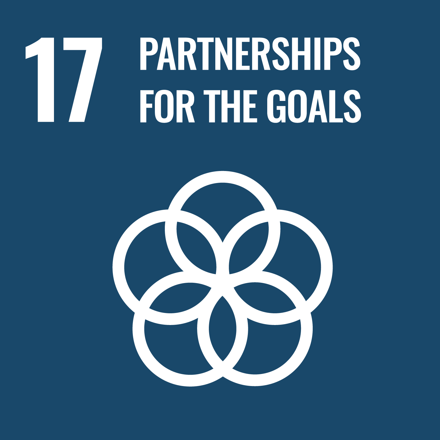 SDGs Partnerships For The Goals