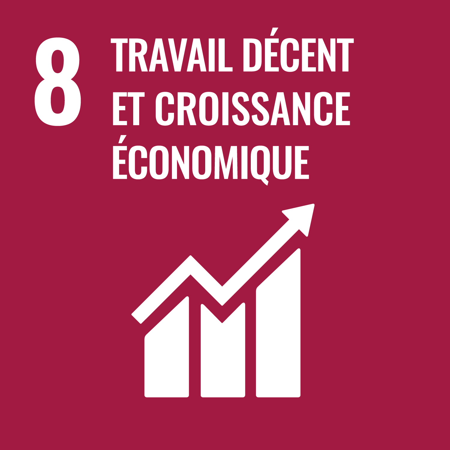 SDGs Decent Work And Economic Growth-fr