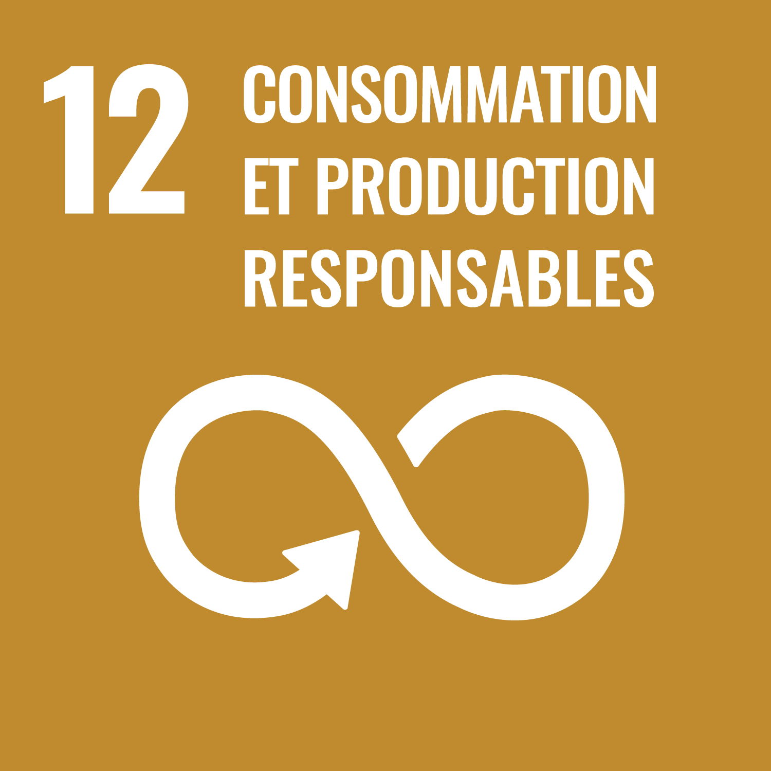 SDGs Responsable Consumption And Production-fr