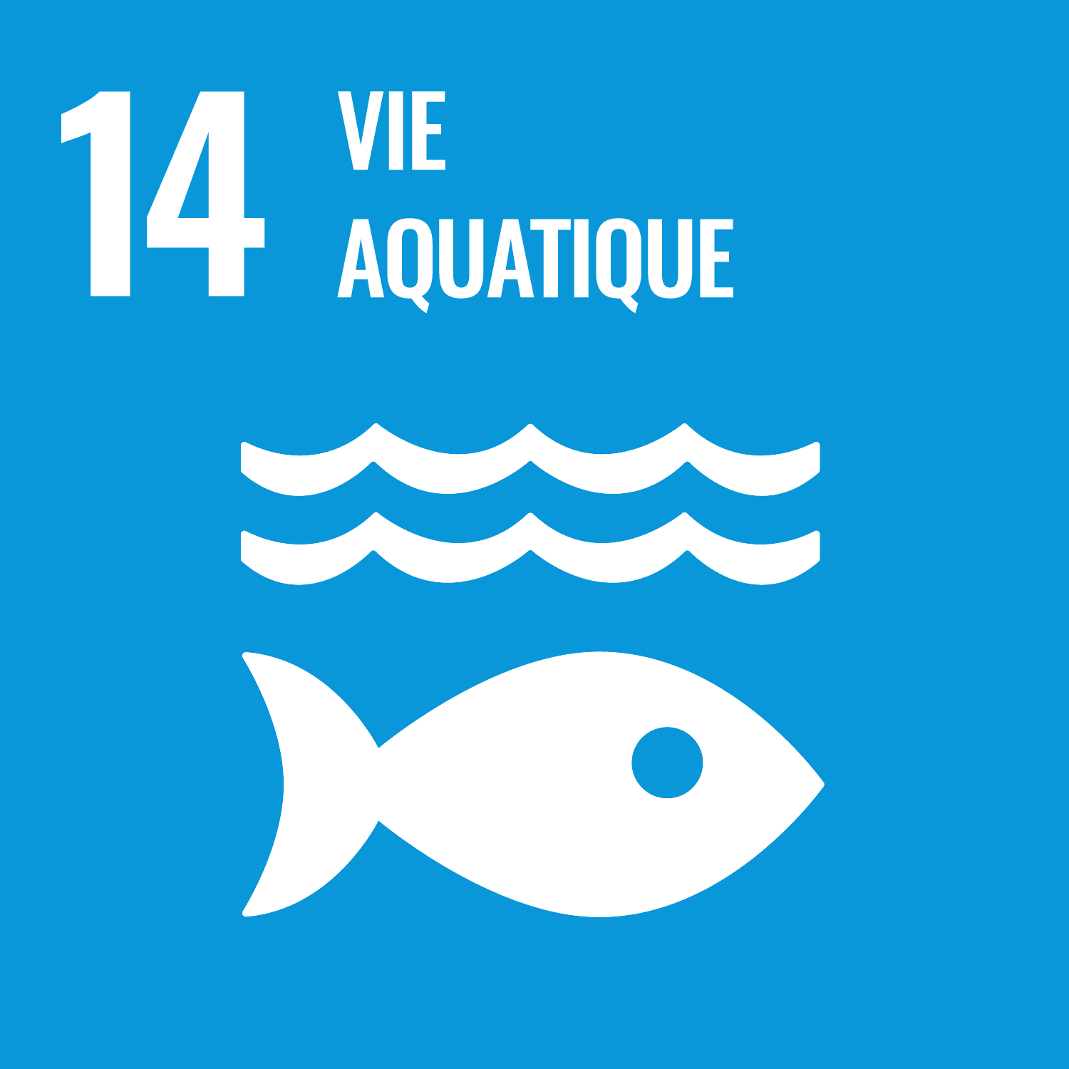 SDGs Life Below Water-fr