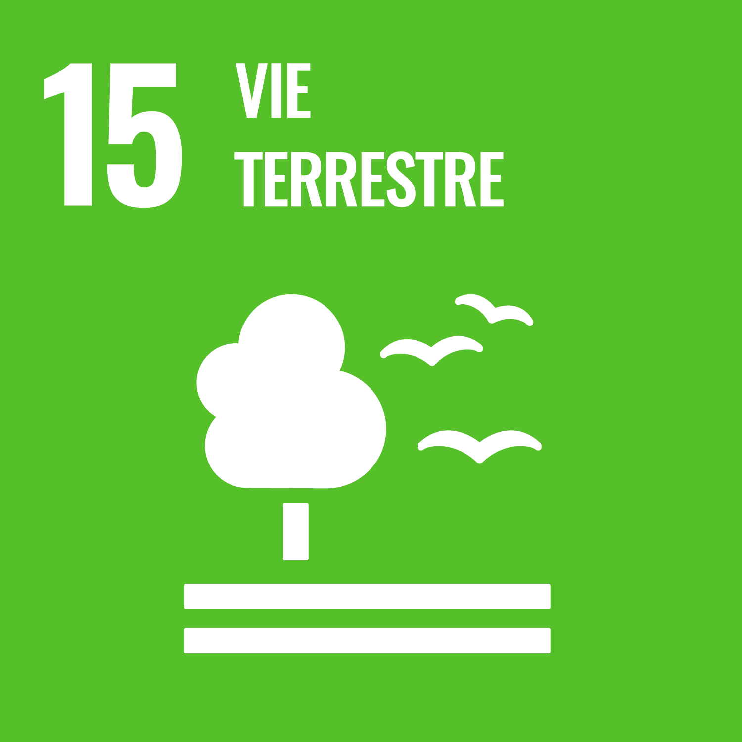 SDGs Life On Land-fr