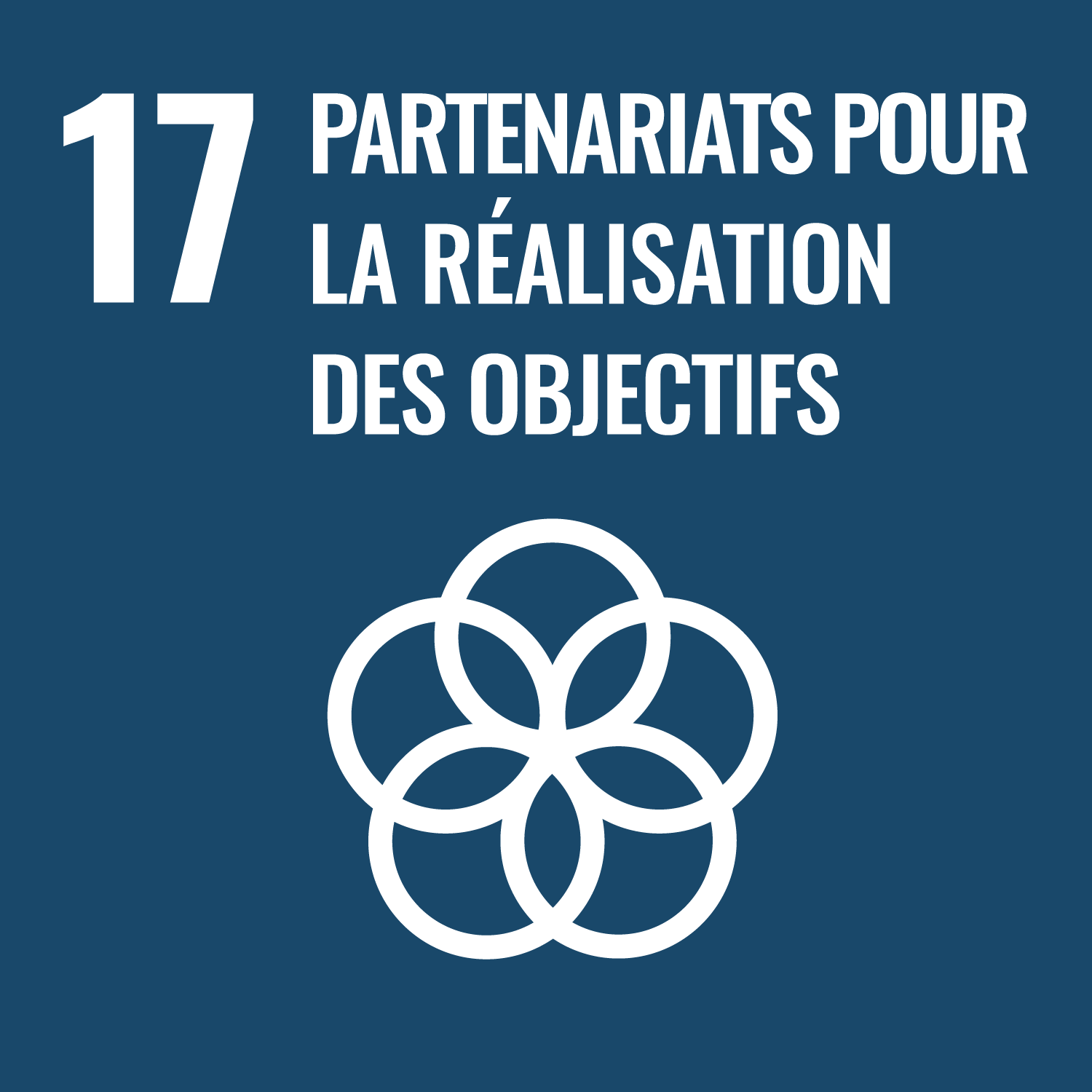 SDGs Partnerships For The Goals-fr
