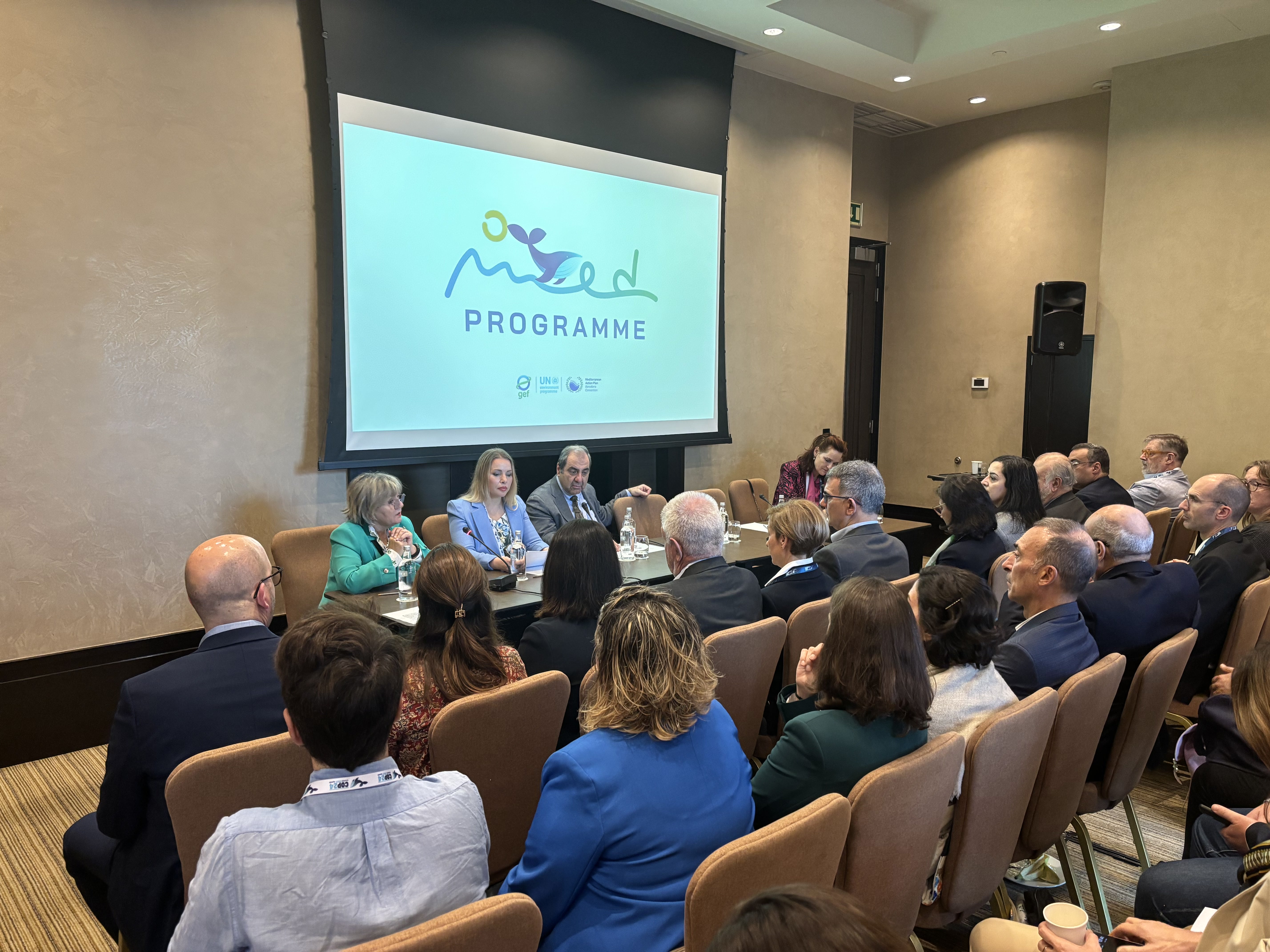 COP24 MedProgramme side event