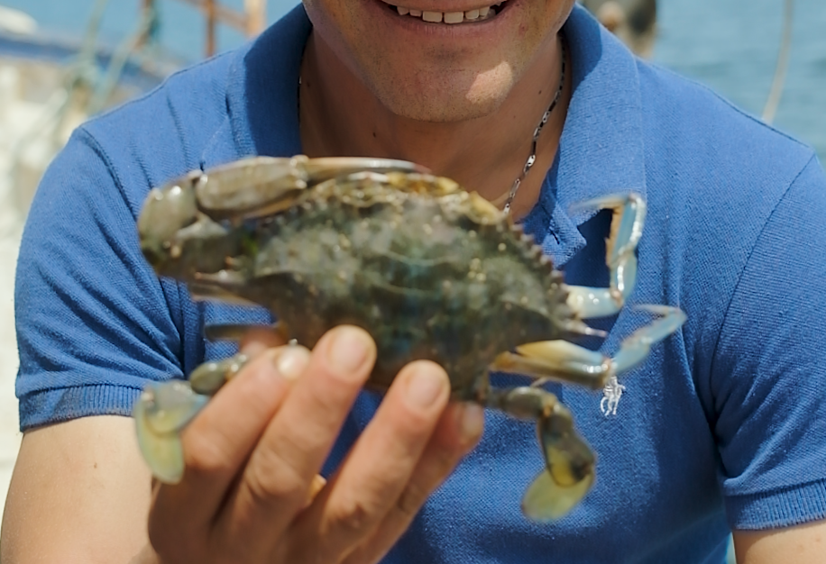 Fisheries