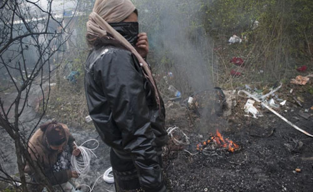 Photo credit Ecologist, this is a general photo 