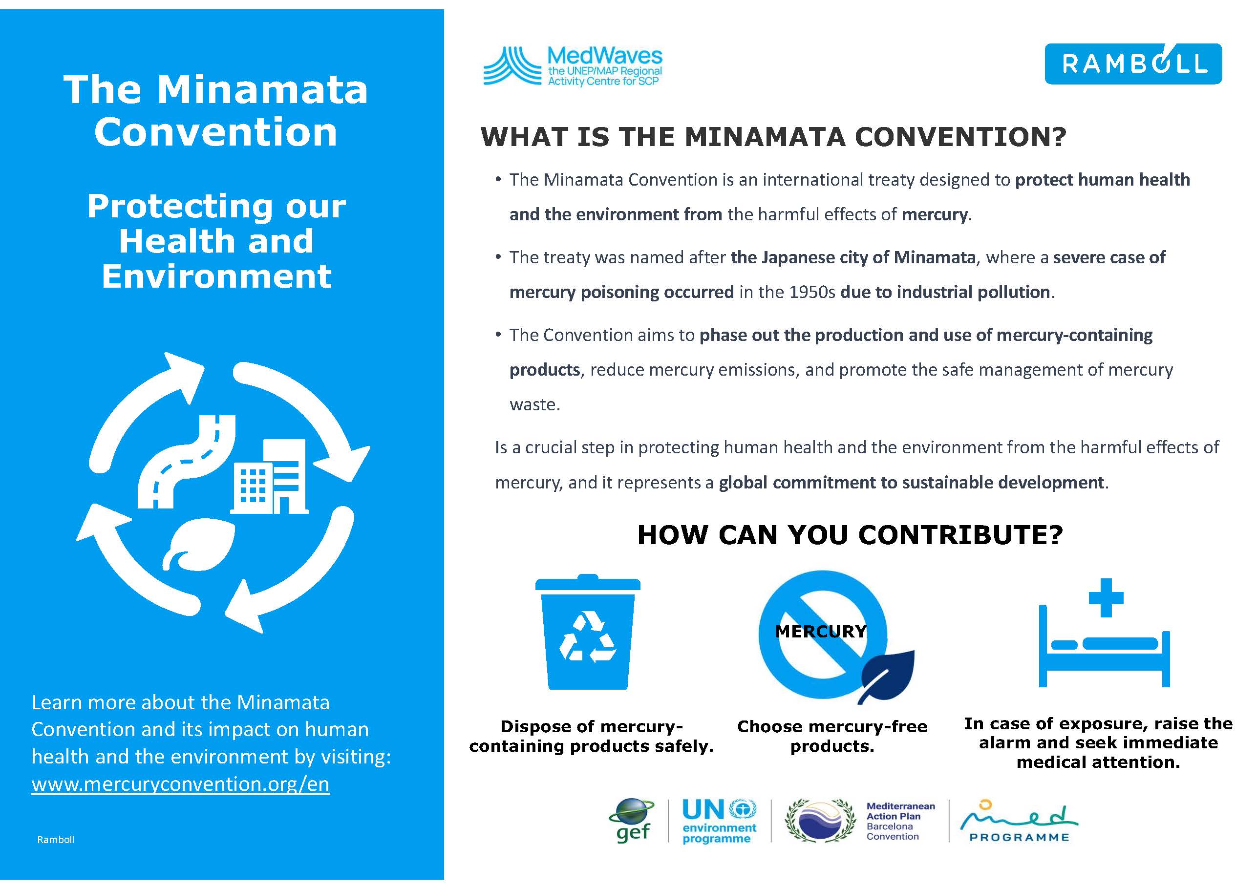 Hg and Minamata Convention