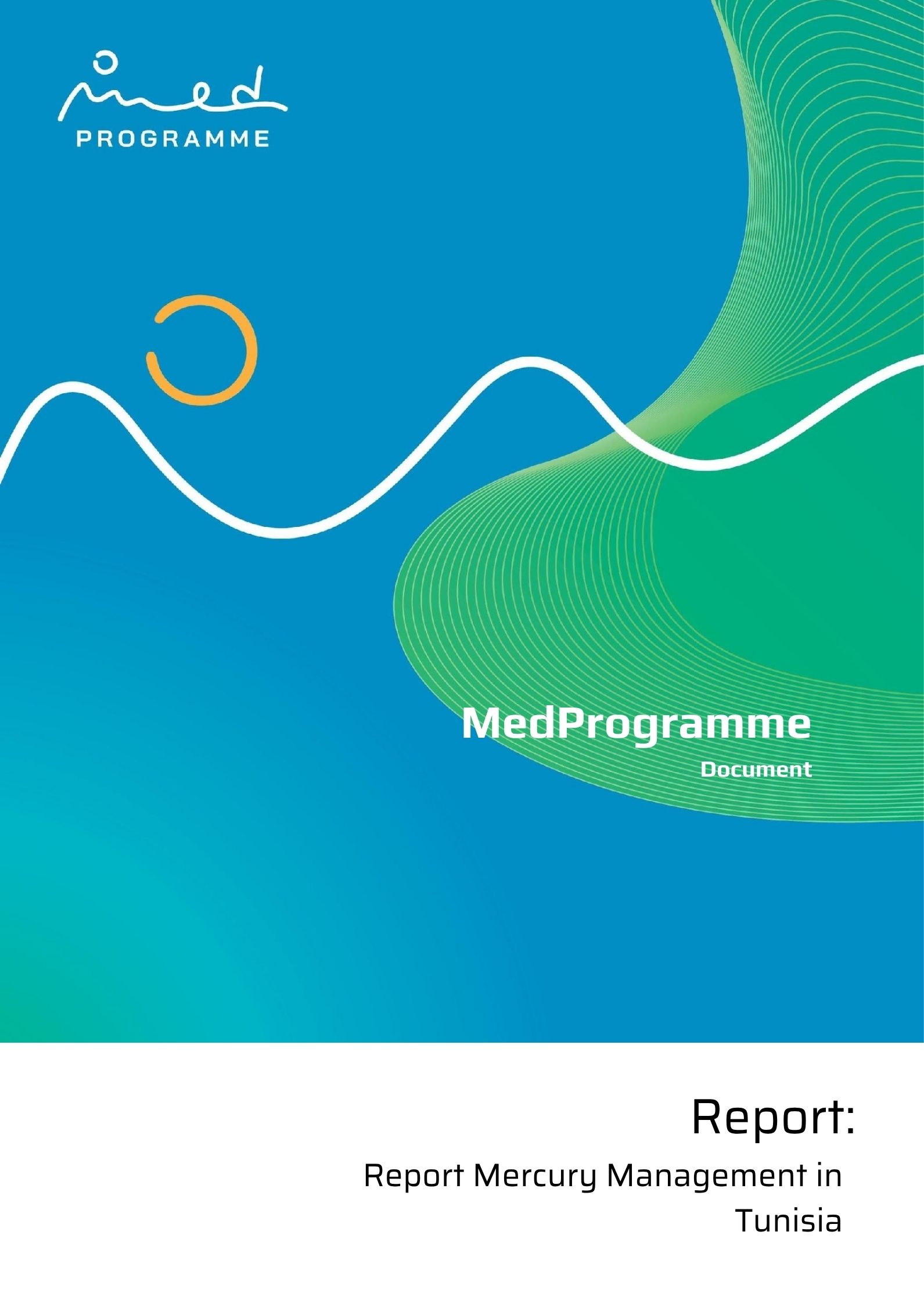 Report Mercury Management in Tunisia