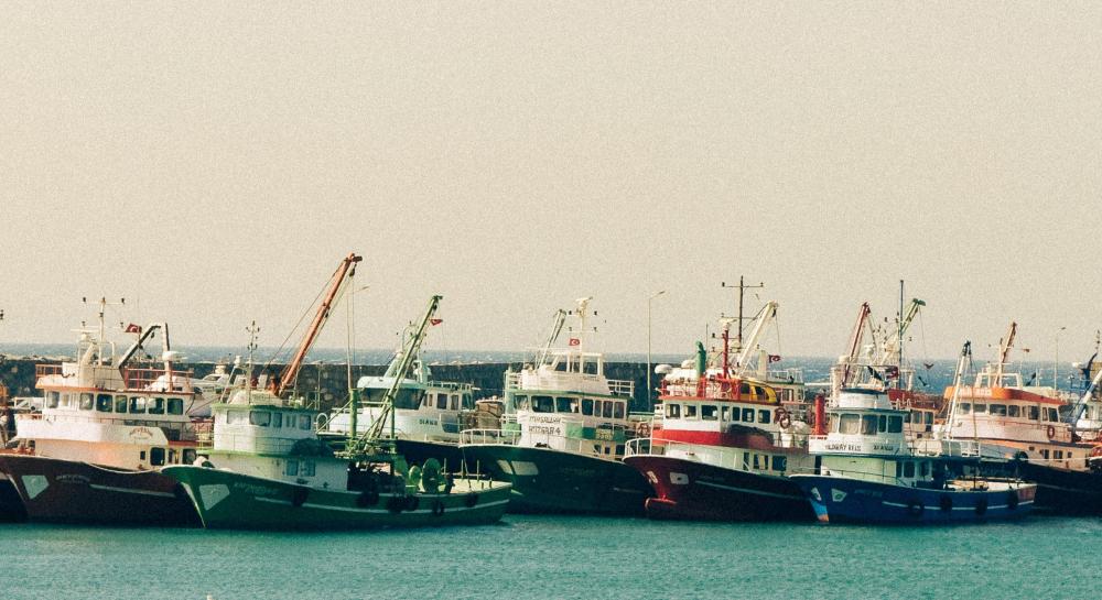 Fisheries