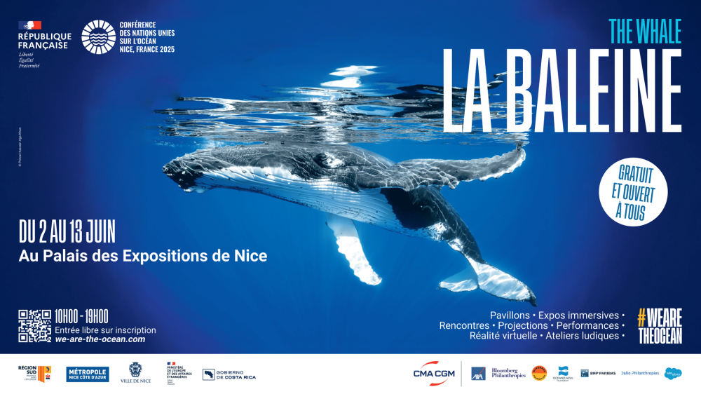Third United Nations Ocean Conference (UNOC3) 