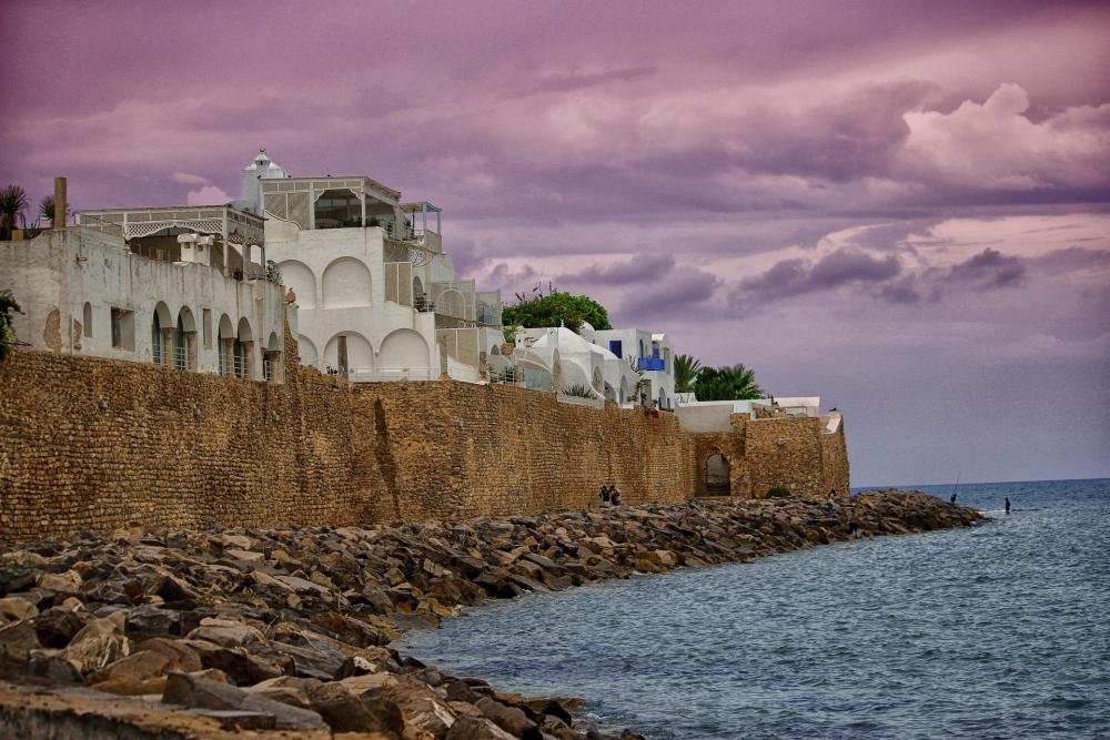 Tunisia Resilience and Replication