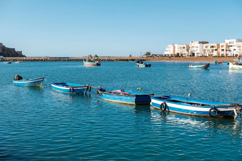 Morocco Replication