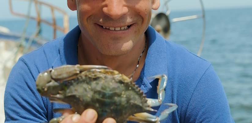 Mohamed Dahech, fisher from Sfax (Tunisia) and a blue crab (Photo provided by Hedi Chouchane)