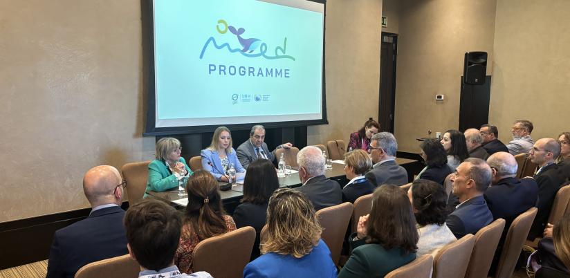 COP24 MedProgramme side event