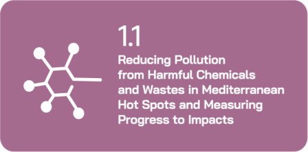 Reducing Pollution from Harmful Chemicals and Wastes in Mediterranean Hotspots and Measuring Progress to Impacts