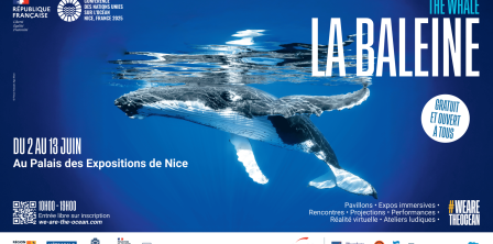 Third United Nations Ocean Conference (UNOC3) 