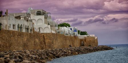 Tunisia Resilience and Replication