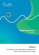 Workshop on the sustainable management of POPs contaminated sites