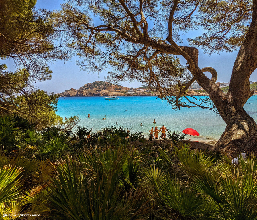 child project cp_4_1