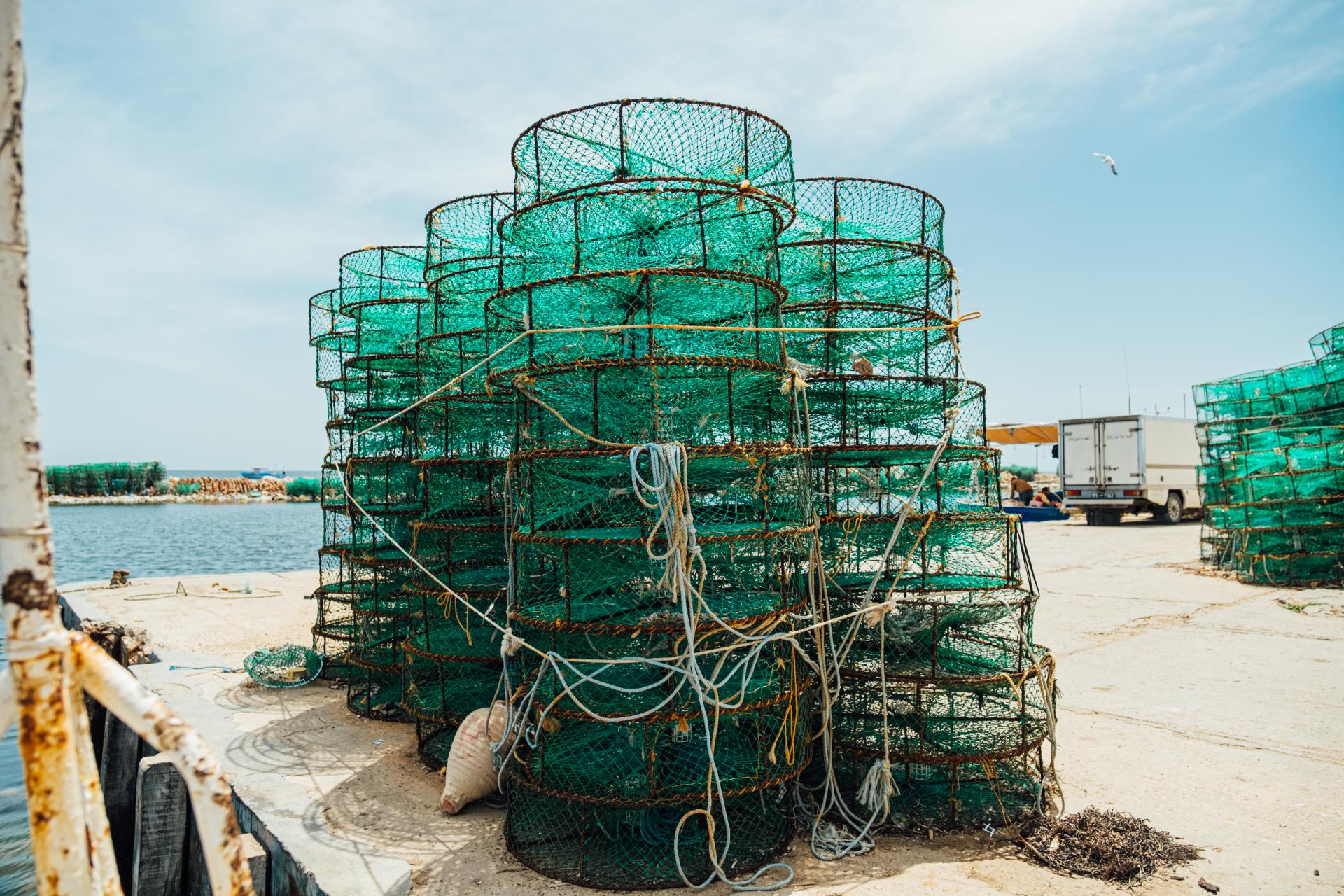 Blue crab traps (Photo provided by Hedi Chouchane)